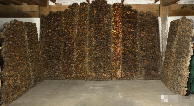 微信截图_20190529175705