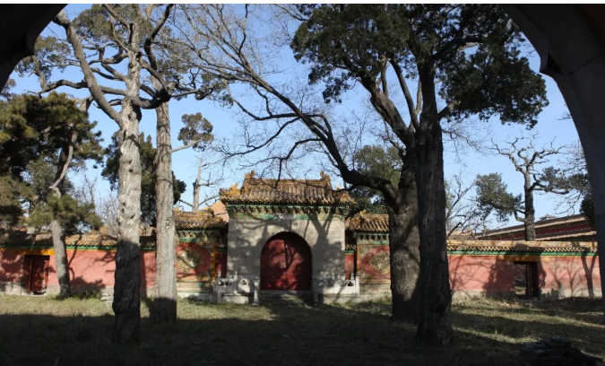 微信截图_20190529175724