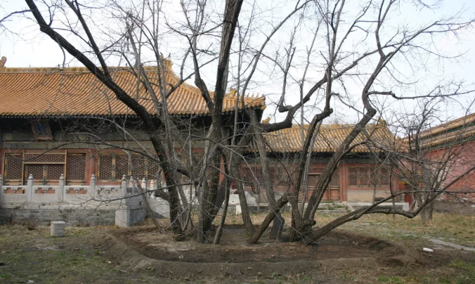 微信截图_20190529175731