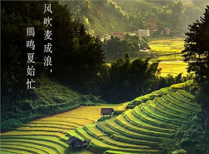 2020年芒种当天结婚吉利吗,2020不同地区入梅出梅时间