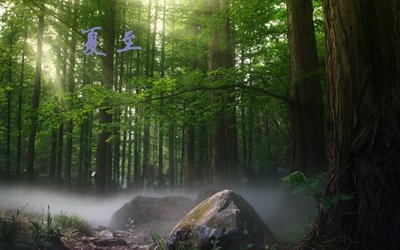 2020夏至可以出殡？夏至的时间日子是农历还是公历？