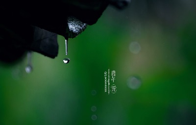 端午节不仅要吃粽子还要干什么？端午节又叫什么节日？