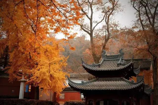 家中出现这些征兆，必定人才辈出！子女有福！