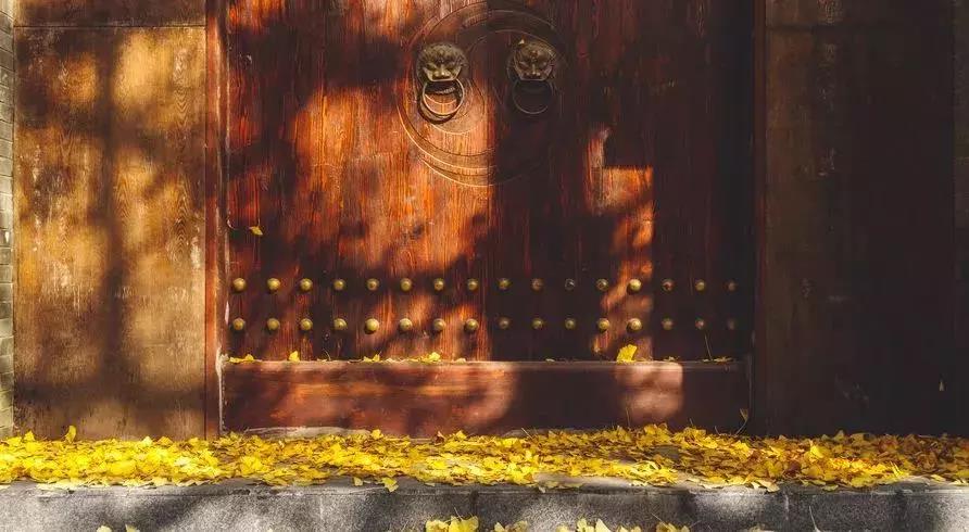 家中出现这些征兆，必定人才辈出！子女有福！