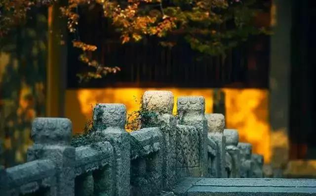 家中出现这些征兆，必定人才辈出！子女有福！