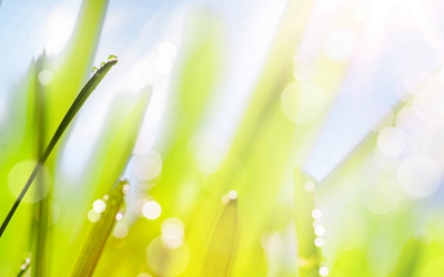 三伏天要吃什么最好？三伏天去湿气最好的方法