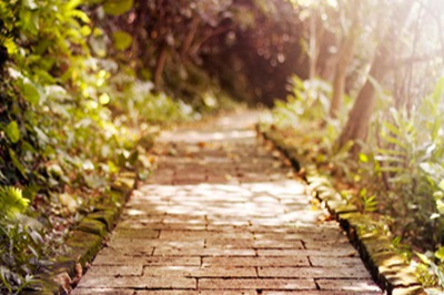 三伏天为什么要艾灸？三伏天要每天艾灸吗？