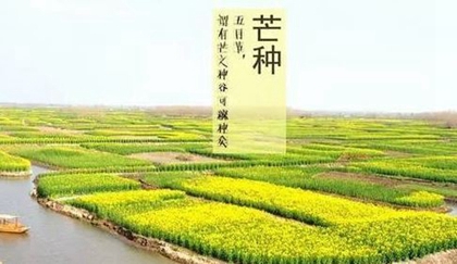 2020年6月5日芒种这天的时辰吉凶,芒种三候是什么意思