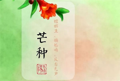 2020年6月5日芒种这天的时辰吉凶,芒种三候是什么意思