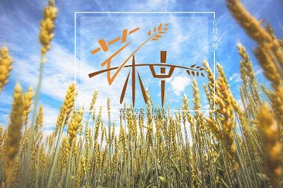 2020年6月5日芒种这天可以搬家吗芒种节气吃什么水果？
