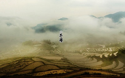 今年芒种是什么日子？2020芒种日子结婚好吗？