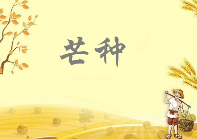 芒种节气前后宜种什么植物？2020芒种日子好不好？