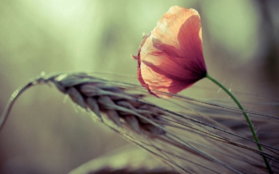 2020年三伏天具体时间是什么时候？三伏天如何防暑？