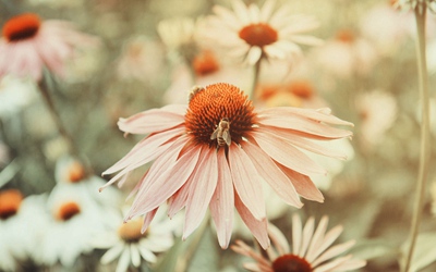 2020年三伏天具体时间是什么时候？三伏天如何防暑？