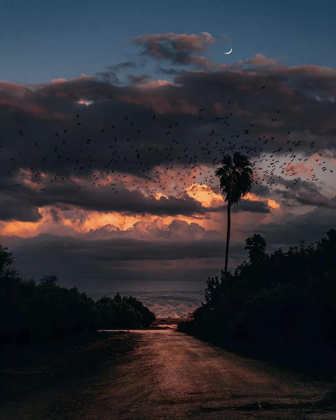 相术大师的禳灾延命之道