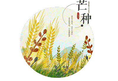 2020芒种前一天可以结婚吗？芒种后十天指哪天？