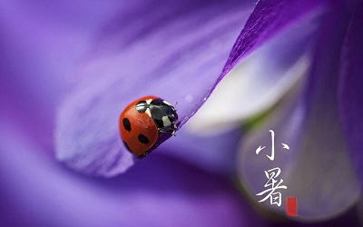 2020年小暑是哪天几月几号？小暑这天可以搬家吗？