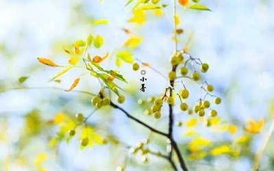 2020年小暑是哪天几月几号？小暑这天可以搬家吗？