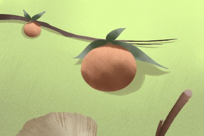 招财猫养几只能旺财 好事逢双