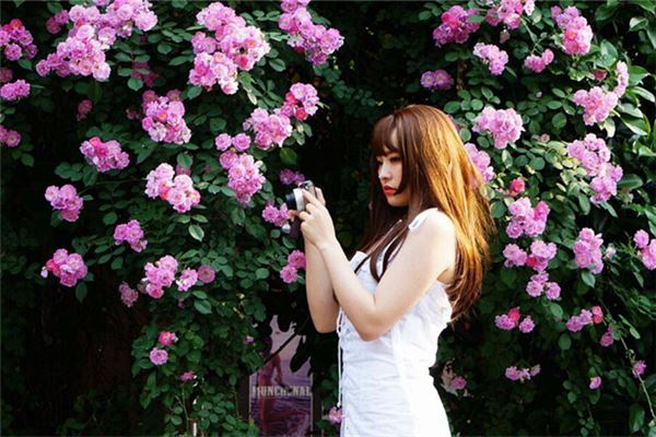 体相解析看你的性格如何