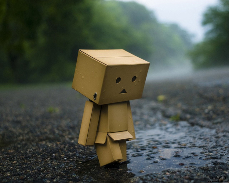 内心最脆弱的星座 半夜总想找个肩膀哭