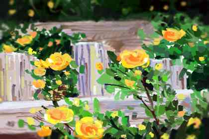 四大镇宅之树都有什么树 真的能镇宅吗