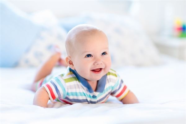 屁股长什么样子