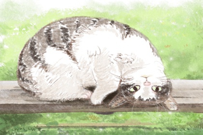 招财猫颜色寓意风水 金猫招财