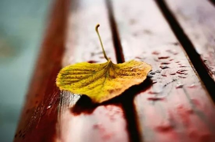 立秋后第一个庚日是末伏吗,2020年末伏时间表解析！