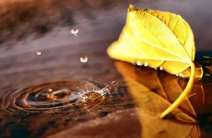 立秋游泳不长痱子吗,关于立秋的歌谣有哪些？