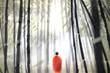 四大镇宅之树是哪四种 罗汉松保出入平安