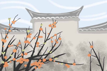 发财树客厅摆放 摆放在电视旁边