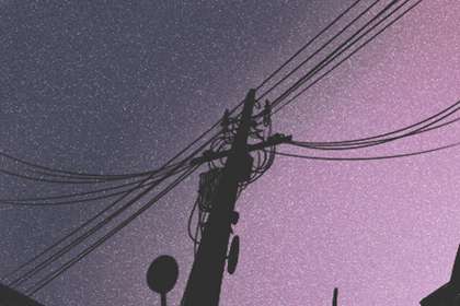 四大镇宅之树北方种植怎么样 方位不错