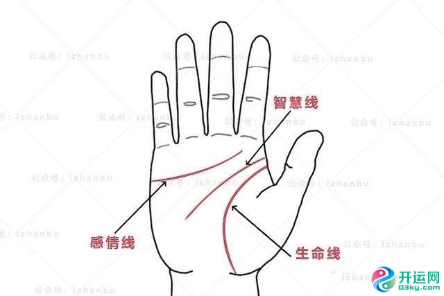 感情线智慧线之间横线相交好不好?告诉我们哪些健康信息?