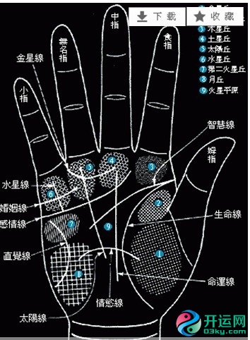 手相看你桃花运，看手相 事业飞黄腾达，大富大贵手相特征