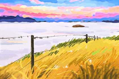 养鱼养单数好不好 养鱼养单数好不好 心态好