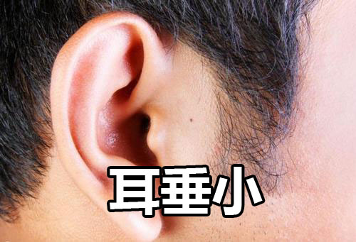 耳垂小的人在哪些方面需要注意