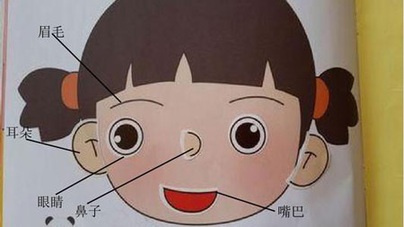 五官是指哪些人体器官