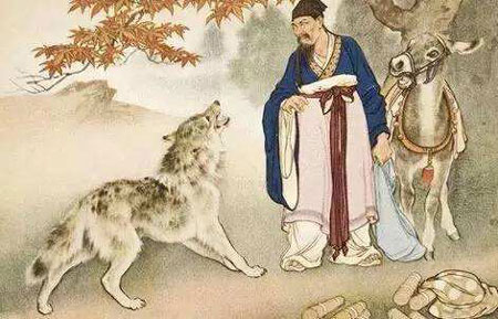 女人的面相长什么样是白眼狼