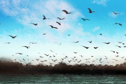 路冲的房子如何变旺 路冲的房子如何变旺 适当通风