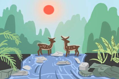 办公桌适合摆放什么植物 发财树好