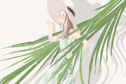 适合老板办公室的绿植 适合老板办公室的绿植 提升财运的植物