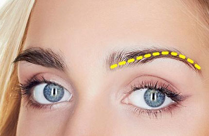 面相学中眉毛很长的人运势会好吗