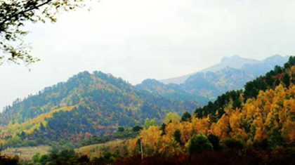 处暑是什么时候2020,关于处暑的农谚有哪些？