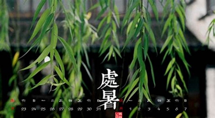 关于处暑谚语大全解析,2020年8月22日处暑领证好吗？