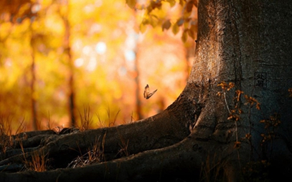 2020年处暑日子好不好,2020年处暑是几月几号？