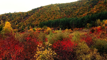 2020年处暑日子好不好,2020年处暑是几月几号？