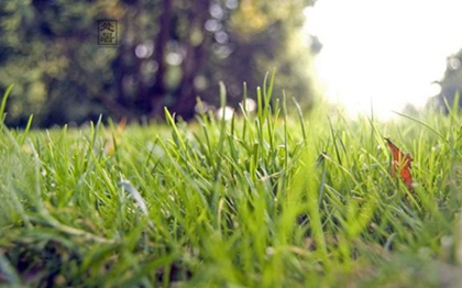 处暑节气有什么由来,2020年处暑出行出远门好吗？