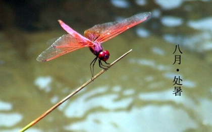 处暑节气有什么由来,2020年处暑出行出远门好吗？