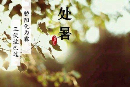 关于处暑的诗句描写有哪些,2020年处暑搬家吉利吗？